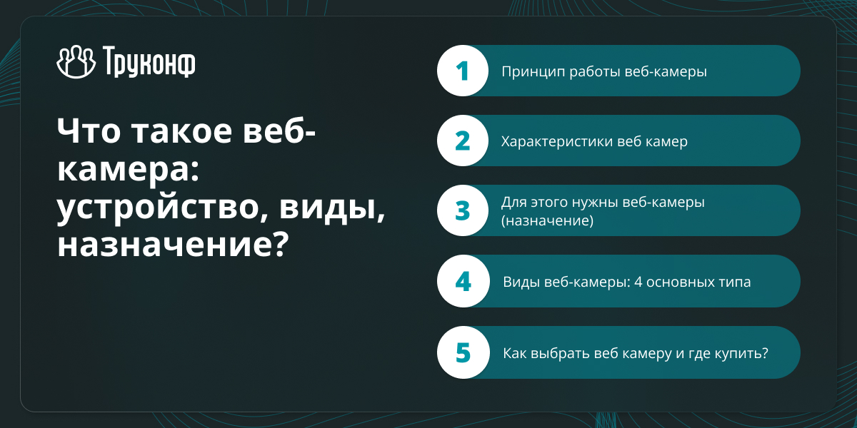 Что такое веб-камера, устройство, виды, назначение?