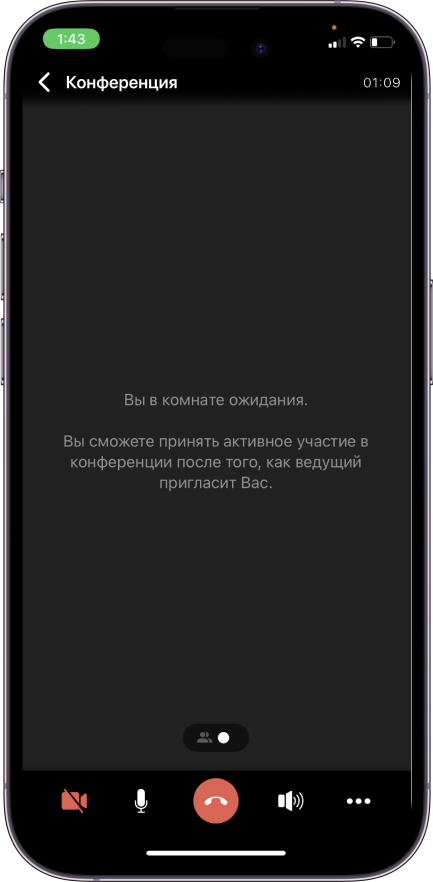 Обновление TrueConf 3.5 для iOS: Умные раскладки и поддержка комнат ожидания 6