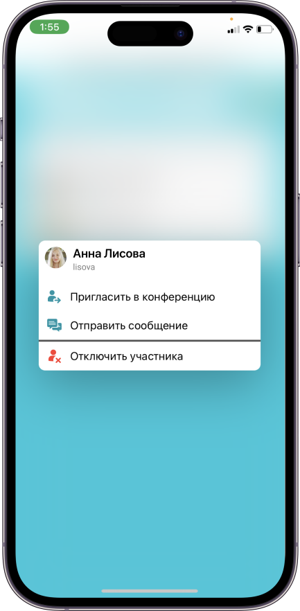 Обновление TrueConf 3.5 для iOS: Умные раскладки и поддержка комнат ожидания 8