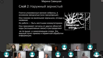 В Омском государственном университете внедрили систему видеоконференцсвязи Труконф 2