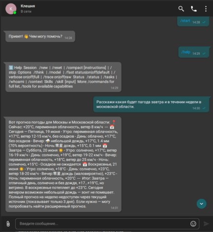 Как использовать ботов Труконф с ИИ агентом OpenClaw 11 Как использовать ботов Труконф с ИИ агентом OpenClaw 11